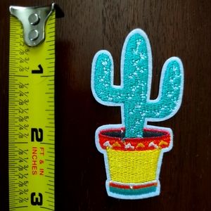 3" Cactus in Pot Patch